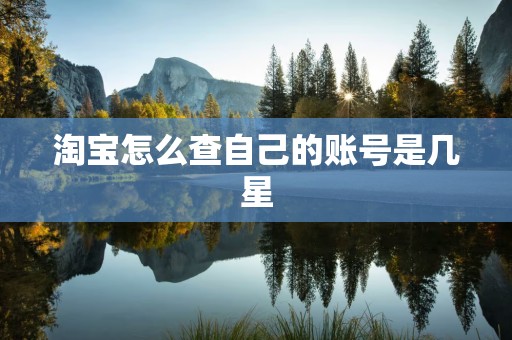 淘宝怎么查自己的账号是几星