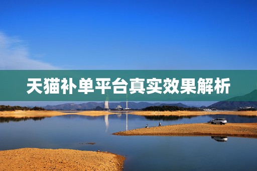 天猫补单平台真实效果解析