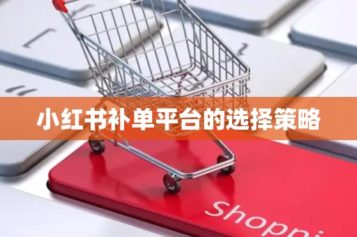 小红书补单平台的选择策略