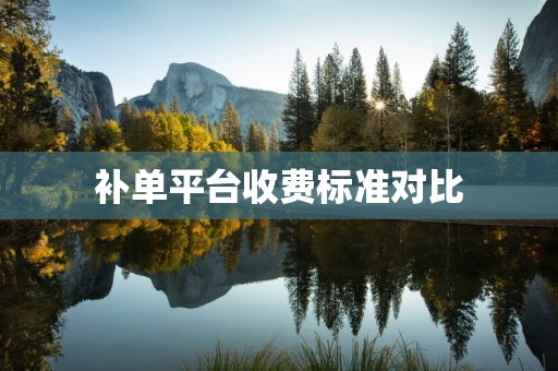 补单平台收费标准对比