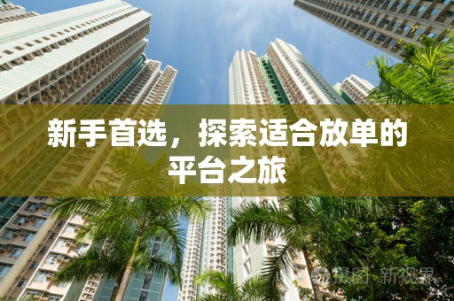 新手首选，探索适合放单的平台之旅