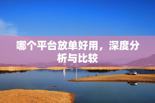 哪个平台放单好用，深度分析与比较