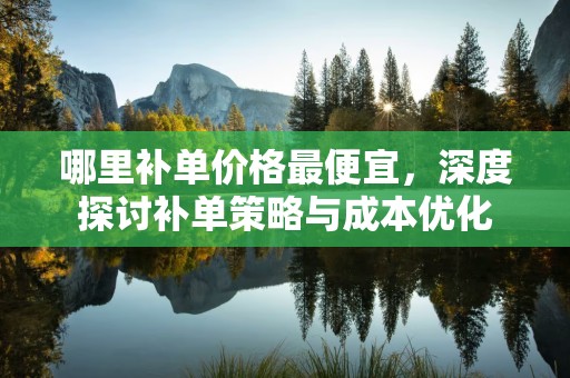 哪里补单价格最便宜，深度探讨补单策略与成本优化