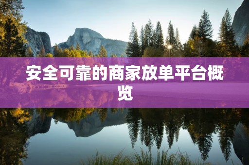 安全可靠的商家放单平台概览