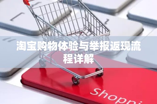 淘宝购物体验与举报返现流程详解