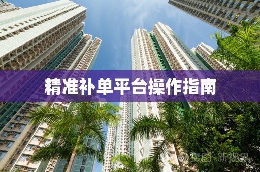 精准补单平台操作指南