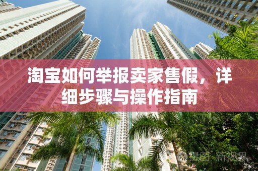 淘宝如何举报卖家售假，详细步骤与操作指南