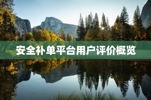 安全补单平台用户评价概览