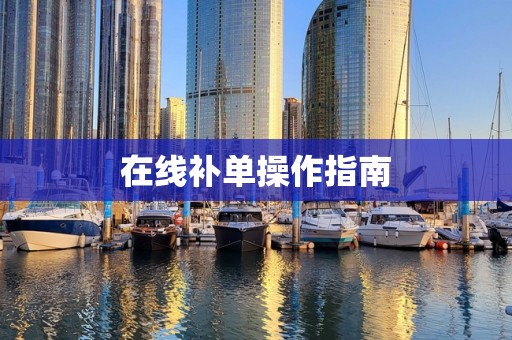 在线补单操作指南