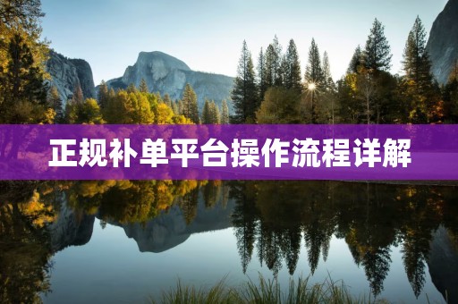 正规补单平台操作流程详解