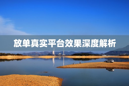 放单真实平台效果深度解析