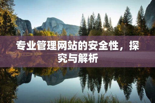 专业管理网站的安全性，探究与解析