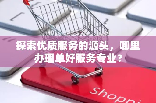 探索优质服务的源头，哪里办理单好服务专业？