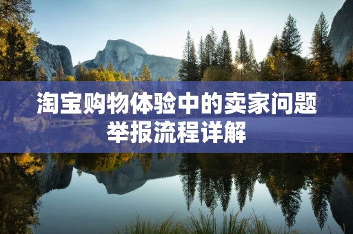 淘宝购物体验中的卖家问题举报流程详解
