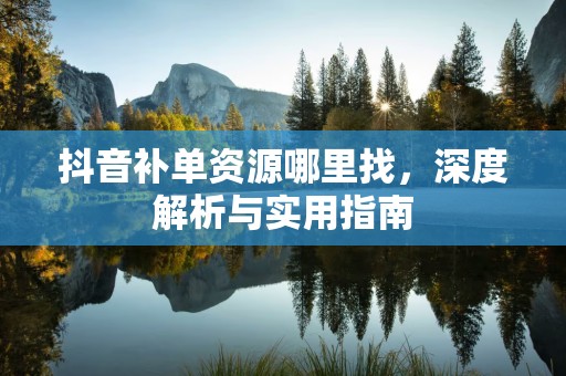 抖音补单资源哪里找，深度解析与实用指南