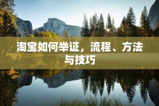 淘宝如何举证，流程、方法与技巧
