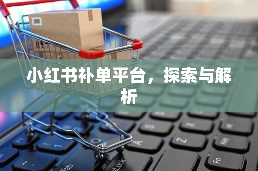 小红书补单平台，探索与解析