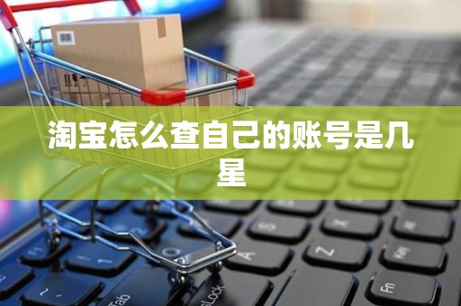 淘宝怎么查自己的账号是几星