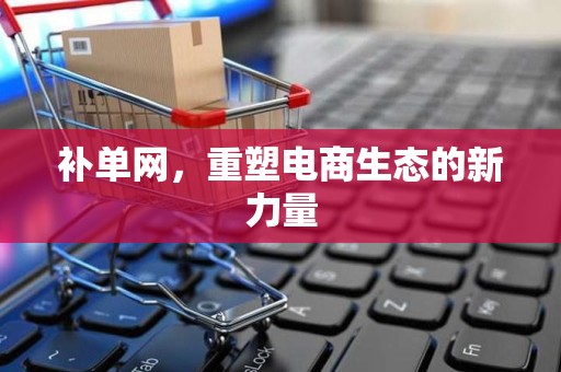 补单网，重塑电商生态的新力量
