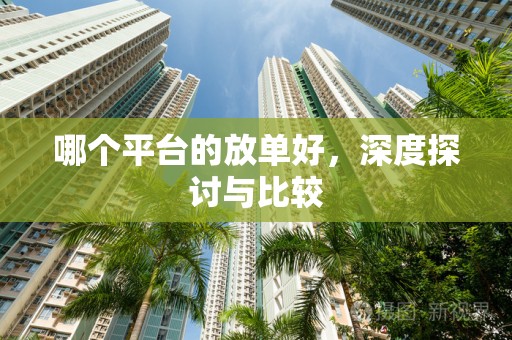 哪个平台的放单好，深度探讨与比较