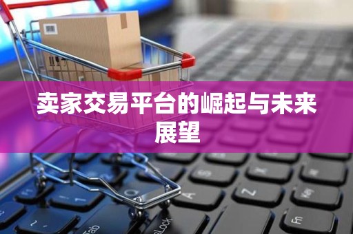 卖家交易平台的崛起与未来展望