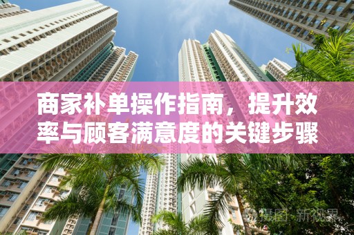 商家补单操作指南，提升效率与顾客满意度的关键步骤