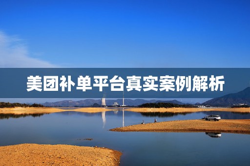 美团补单平台真实案例解析