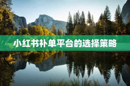 小红书补单平台的选择策略