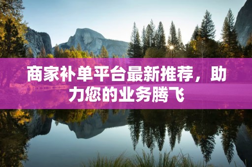 商家补单平台最新推荐，助力您的业务腾飞