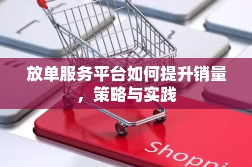 放单服务平台如何提升销量，策略与实践