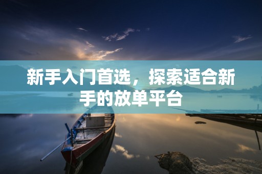 新手入门首选，探索适合新手的放单平台