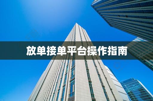 放单接单平台操作指南