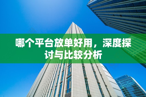 哪个平台放单好用，深度探讨与比较分析