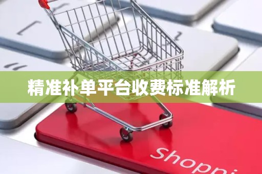精准补单平台收费标准解析