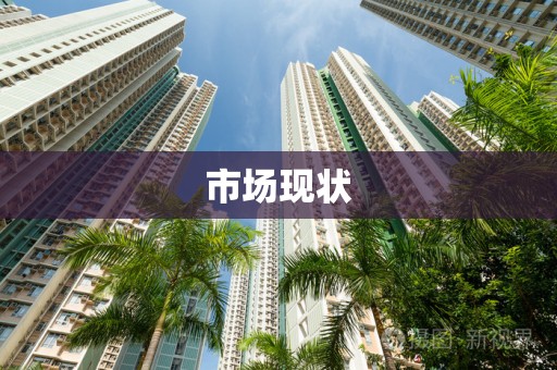 市场现状