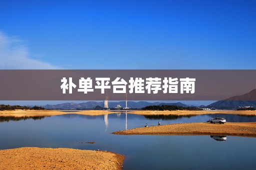 补单平台推荐指南