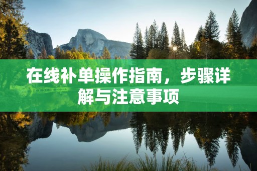 在线补单操作指南，步骤详解与注意事项
