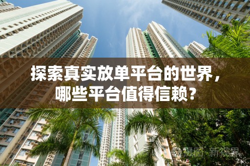 探索真实放单平台的世界，哪些平台值得信赖？