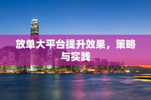 放单大平台提升效果，策略与实践