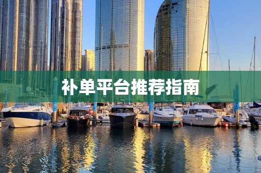 补单平台推荐指南