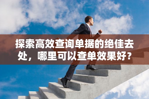 探索高效查询单据的绝佳去处，哪里可以查单效果好？