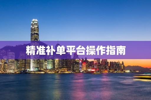 精准补单平台操作指南