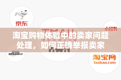 淘宝购物体验中的卖家问题处理，如何正确举报卖家