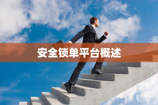 安全锁单平台概述