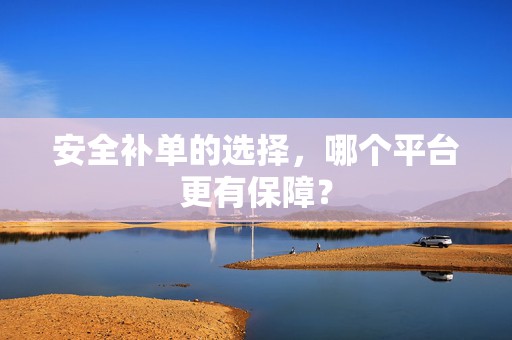 安全补单的选择，哪个平台更有保障？