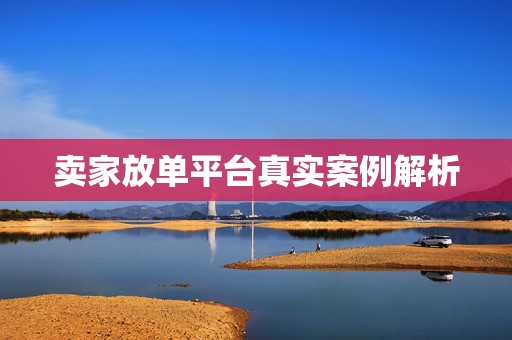 卖家放单平台真实案例解析