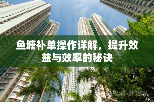 鱼塘补单操作详解，提升效益与效率的秘诀