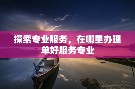 探索专业服务，在哪里办理单好服务专业
