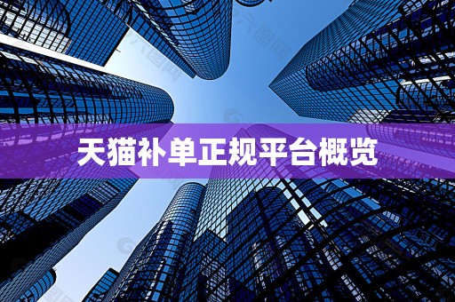 天猫补单正规平台概览