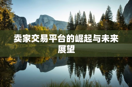 卖家交易平台的崛起与未来展望